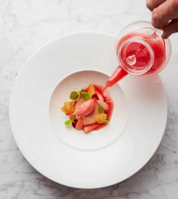 Restaurant Associates circle dish pink teapot