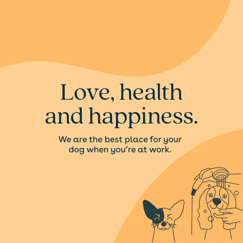 WagWorks tone of voice