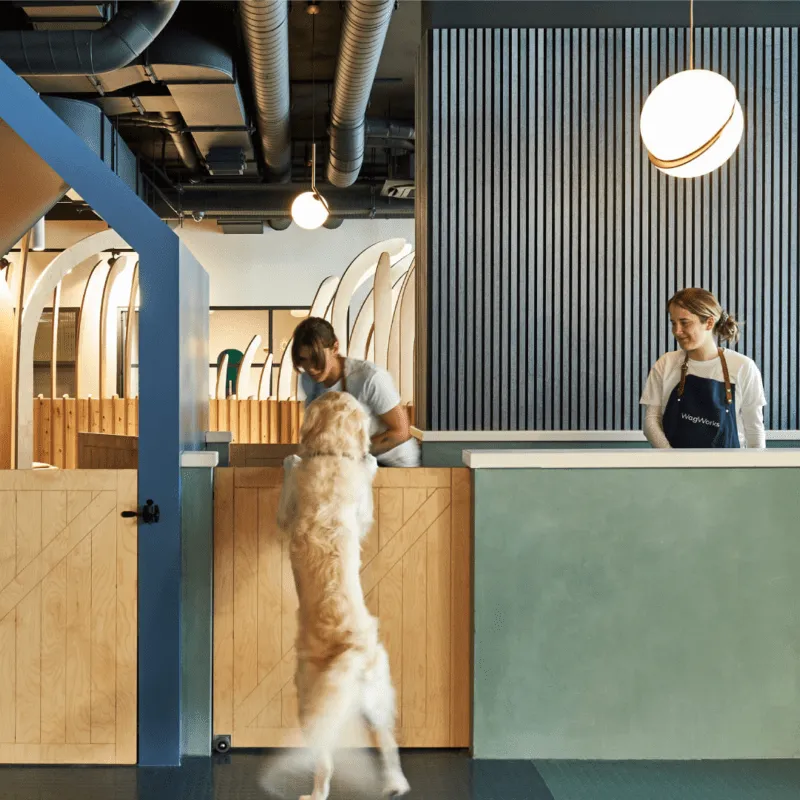 WagWorks building internals