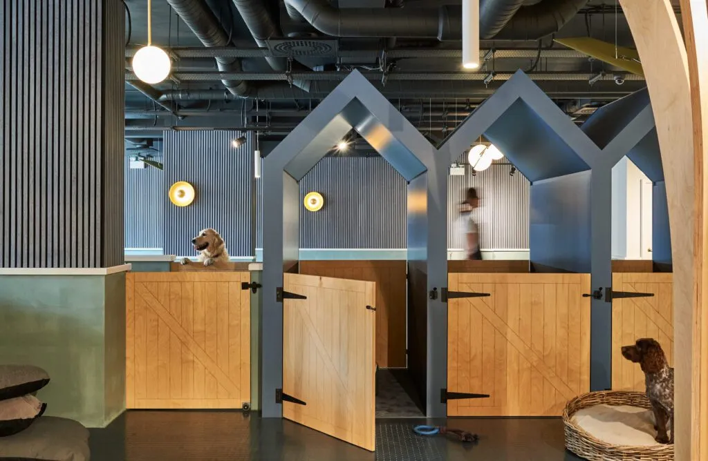 WagWorks photography