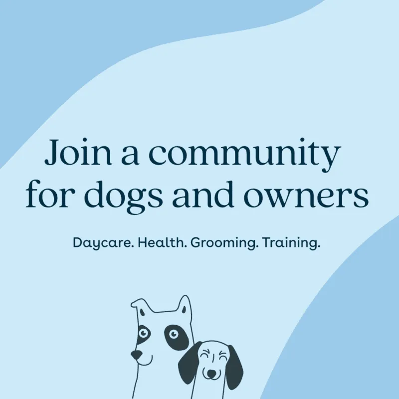 WagWorks Tone of Voice