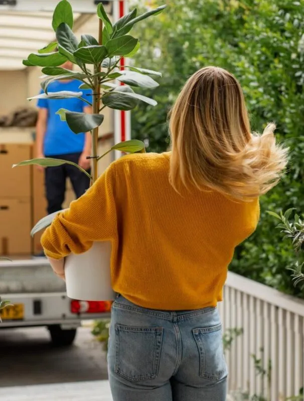AnyVan Lady with plant