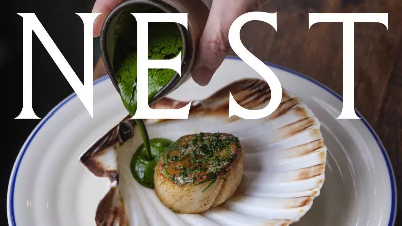 Nest Scallop and Logo